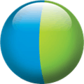 Webex Alternatives