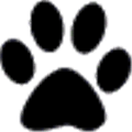 Webpaws Html5 Playground Alternatives
