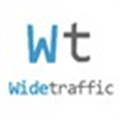 Widetraffic Ad Network Alternatives