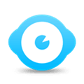 Wise System Monitor Alternatives