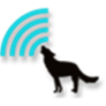 Wolfssl Alternatives