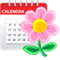 Woman Diary Calendar  Alternatives