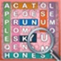 Word Search  Real Addictive Puzzle Game Alternatives
