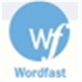 Wordfast Alternatives