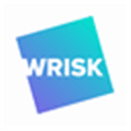 Wrisk Alternatives