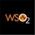 Wso2 Api Manager Alternatives