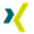 Xing Alternatives