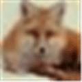 Xmlfox Alternatives