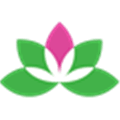 Yoga Studio Alternatives