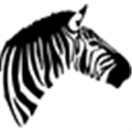 Zebra Classroom Alternatives