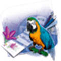 Zoner Draw Alternatives