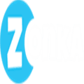 Zonka Feedback Alternatives