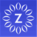 Zulily Alternatives