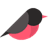 Airfinch