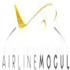Airline Mogul