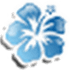 Aloha Editor