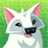 Animal Jam Play Wild