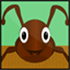 Ant Evolution