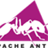 Ant