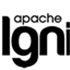 Apache Ignite