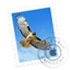 Apple Mail logo