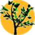 Arbaro