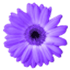 Artweaver