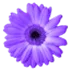 Artweaver logo