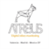 Atribus