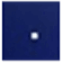 Auditor of dead pixel