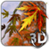 Autumn Leaves in HD Gyro 3D