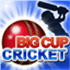 Big Cup Cricket