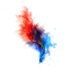 Bloom logo