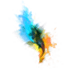 Bloom Image Viewer