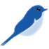 BlueTail.in