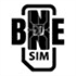 BNESIM