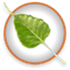 Bodhi Linux