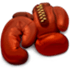 Boxer