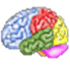 Brain Workshop