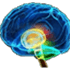 BrainScale.net
