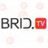 BridTV