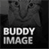 Buddy Image