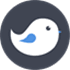 Budgie