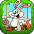 Bunny Run 2