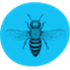 buzzcar