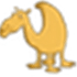 Camel Disc Catalog