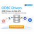 CData ODBC Drivers