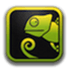 Chameleon Window Manager