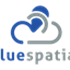 Blue Spatial