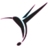 Colibri Lossless